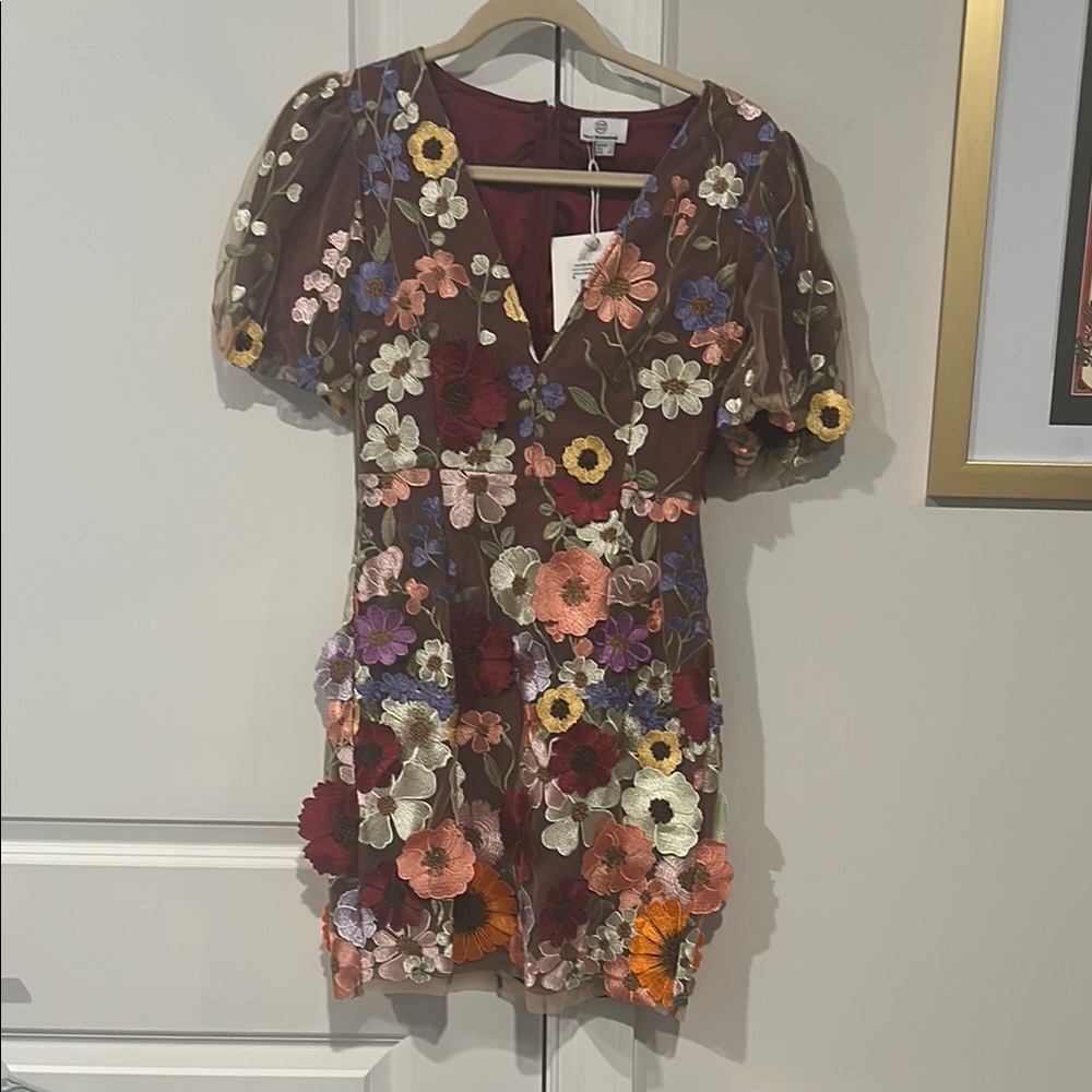 Floral Embroidered Dress with Puff Sleeves